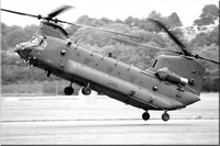 chinook