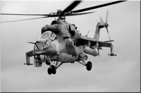 Hind