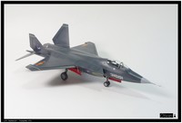 Shenyang J-31 Hobby Boss