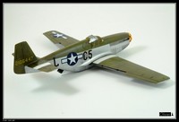 Mustang P-51C ICM 1:48