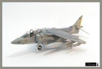 av8b hasegawa 1:72
