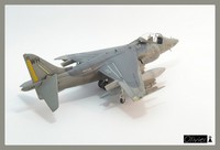 av8b, hasegawa