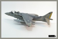 av8b hasegawa 1:72