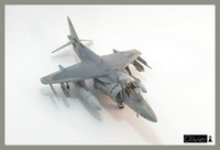 av8b hasegawa 1:72