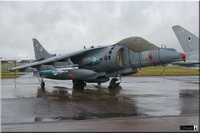 Harrier Gr9, n° 20(R)sq, RAF, ZG858/90