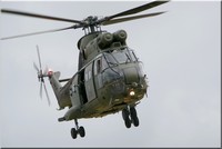 Puma HC-1, n°230sq, ZJ955  Ocean Tiger Meet, Landivisiau, juin 2008