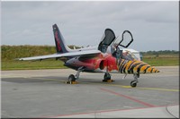 Alpha Jet A, Red Bull Team, D-IFDM Ocean Tiger Meet, Landivisiau, juin 2008