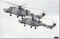 AW-159 Wildcat HMA1, 700W NAS, Royal Navy, ZZ519 et ZZ381
