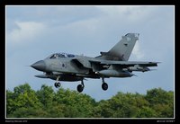 Tornado Gr4, n°15sq, RAF ZA549 041