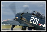F-8F-2P Bearcat, G-RUMM, The Fighter collection cn:121714